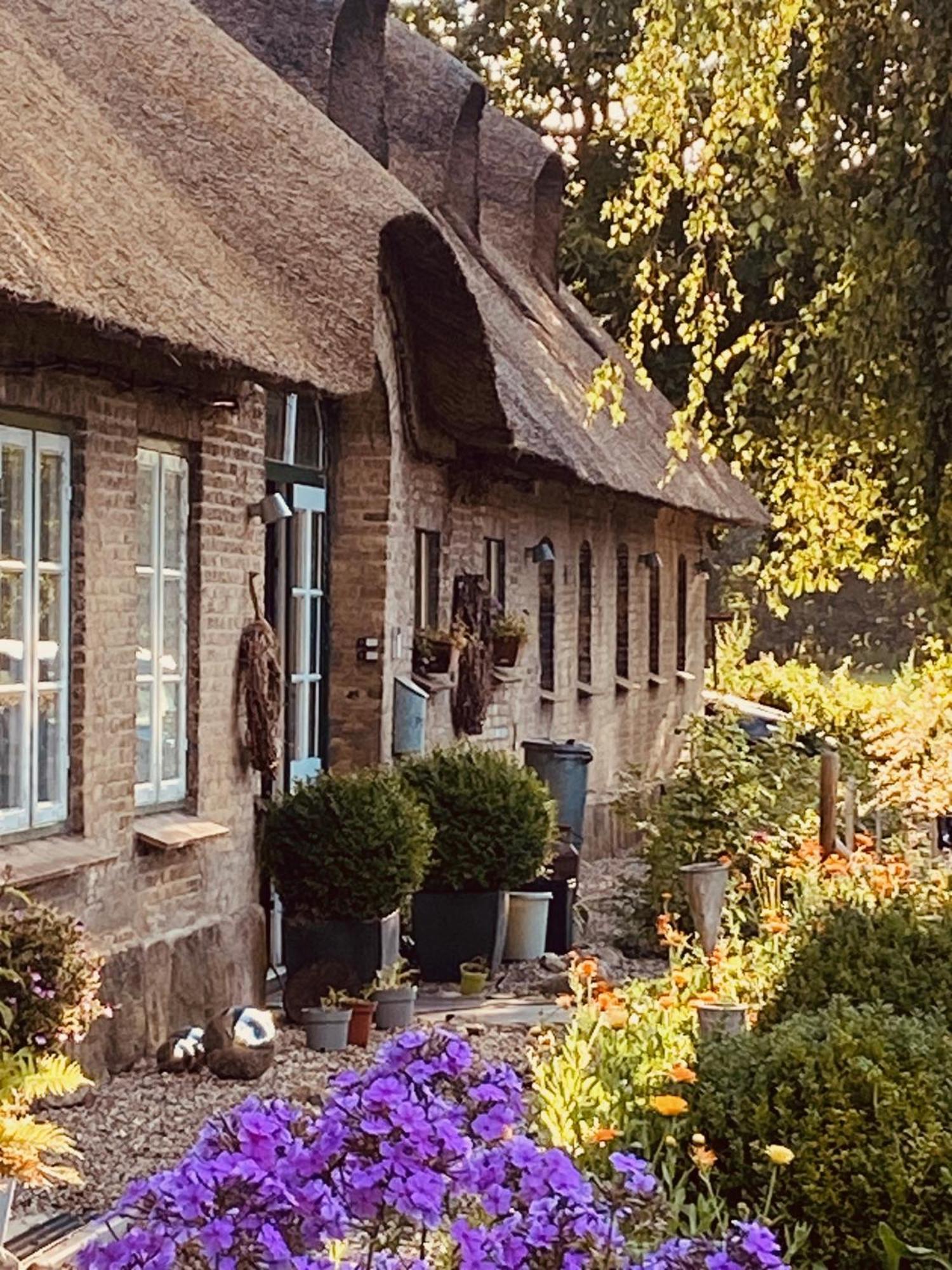 Ferienwohnung Bernstorfshof Jübek Exterior foto